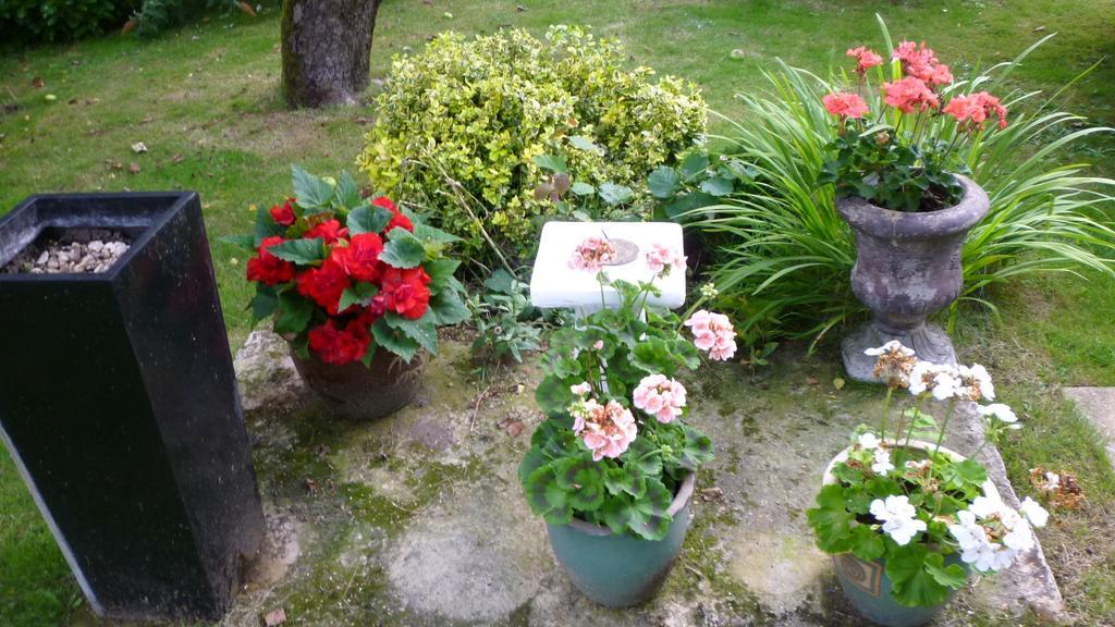 דירות גרייבסנד Hopewell Self-Catering מראה חיצוני תמונה